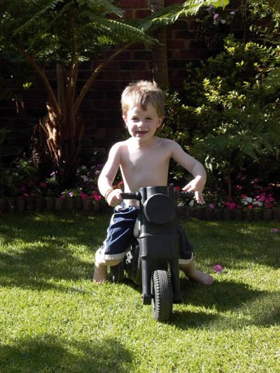 Click for original image 55k 400x533