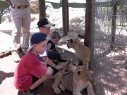 Click for large version