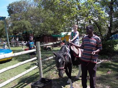 Click for original image 47k 410x307