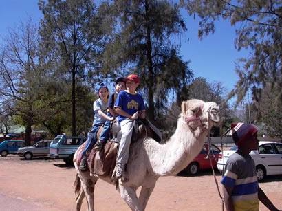 Click for original image 39k 410x307