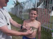 Click for large version