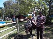 Click for large version