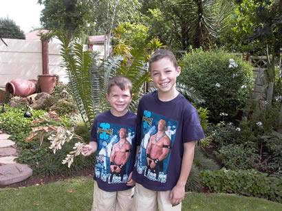 Click for original image 44k 410x307