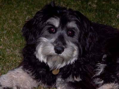 Click for original image 51k 400x300