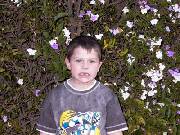 Click for large version